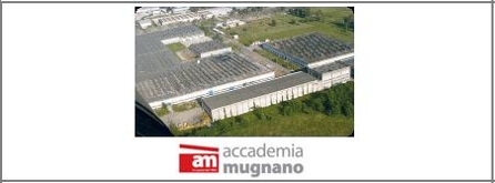 Персональный сайт - Фабрика Stovmon, Accademia Mugnano